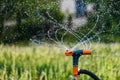 Gardening irrigation system watering green plants. Rotation sprinkler and splash water drops. Royalty Free Stock Photo