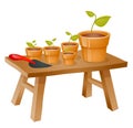 Gardening items