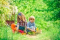 Gardening with a kids. Children enjoy in farm. Kids portrait on farmland. Spring gardening routine. Happy kids on summer Royalty Free Stock Photo