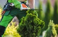 Caucasian Gardener Shaping Garden Plants Using Cordless Trimmer Royalty Free Stock Photo
