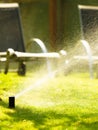 Gardening. Lawn sprinkler spraying water over grass.