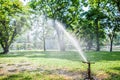 Gardening Lawn sprinkler spraying water over green grass in the