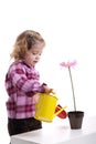 Gardening: little girl planting pink flower