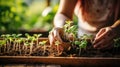 Gardening Metaphor Hands Growing Vegetable Seeds