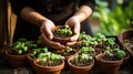 Gardening Metaphor Hands Growing Vegetable Seeds