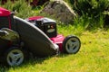 Gardening. Mowing green lawn with red lawnmower