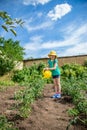 Gardening - nice girl watering plants in the garden Royalty Free Stock Photo