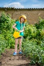 Gardening - nice girl watering plants in the garden Royalty Free Stock Photo