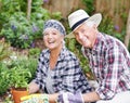 Gardening is our new hobby. A happy senior couple busy gardening in their back yard. Royalty Free Stock Photo