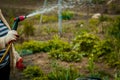 Gardening and people concept - happy senior woman watering lawn by garden hose at summer Royalty Free Stock Photo