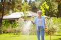 Senior woman watering lawn by hose at garden Royalty Free Stock Photo