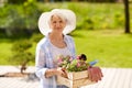 Senior woman garden tools and flowers at summer Royalty Free Stock Photo