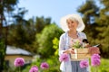 Senior woman garden tools and flowers at summer Royalty Free Stock Photo