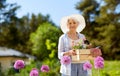 Senior woman garden tools and flowers at summer Royalty Free Stock Photo