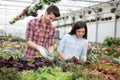 Gardening people, Florist working with flowers in greenhouse Royalty Free Stock Photo