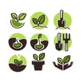 Gardening and planting vector icons of green plant flower and gardener tools Royalty Free Stock Photo