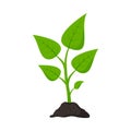 Gardening. Planting. Seedling in ground. Plant icon. Vector Royalty Free Stock Photo