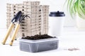 Gardening.Planting seeds in seed pots.Biodegradable paper eco-friendly seed pots.Seedlings in biodegradable pots