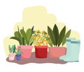 Gardening potted plants flowers and rubber boots