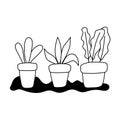 Gardening, potted plants in the ground isolated line icon style