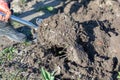 Gardening preparing soil by digging over with a garden spade