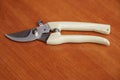 Gardening Pruning shear or plant cutter on a wooden table