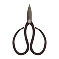 Gardening pruning shears accessory isolated