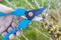 Gardening pruning tool