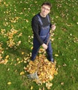 Gardening, raking leaves in the fall