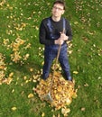 Gardening, raking leaves in the fall