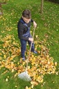 Gardening, raking leaves in the fall