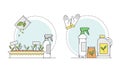 Gardening related symbols set. Growing of seedlings, gardening tools and fertilizers vector illustration