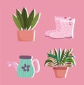 Gardening, rubber boots watering cand plants in pot decoration icons