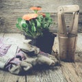 Gardening Scene/tools with gloves and flower with Instagram Style Filter. Square crop.