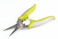 Gardening secateurs for cutting branches on white background