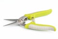 Gardening secateurs for cutting branches on white background