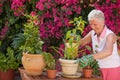 Gardening senior woman