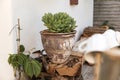 Gardening - a set of tools for a gardener and flower pots in a sunny garden Royalty Free Stock Photo