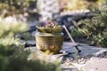 Gardening - a set of tools for a gardener and flower pots in a sunny garden Royalty Free Stock Photo