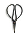 Gardening Shears - Small clipping scissors Royalty Free Stock Photo