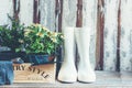 The gardening a shovel filled with soil and flowers potted tool in the garden summer spring time. Royalty Free Stock Photo