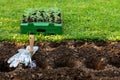 Gardening. Soil preparation before planting in the garden. Digging holes, adding chicken manure pellets and compost. Landscaping. Royalty Free Stock Photo