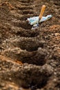 Gardening. Soil preparation before planting in the garden. Digging holes, adding chicken manure pellets and compost. Royalty Free Stock Photo