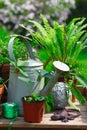 Gardening still life