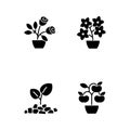 Gardening store categories black glyph icons set on white space