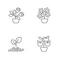 Gardening store categories linear icons set