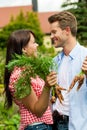 Gardening in summer - couple harvesting carrots Royalty Free Stock Photo