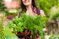 Gardening in summer - woman with herbs Royalty Free Stock Photo