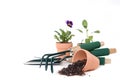 Gardening Supplies With Copy Space Royalty Free Stock Photo