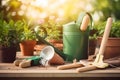 Gardening supplies and flowers in pots, Generative AI